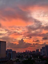 Commonwealth Towers (D3), Condominium #507113581